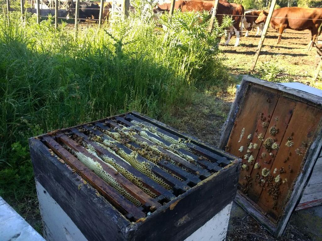 Chacras De Azcona Hosteria Azul Buitenkant foto